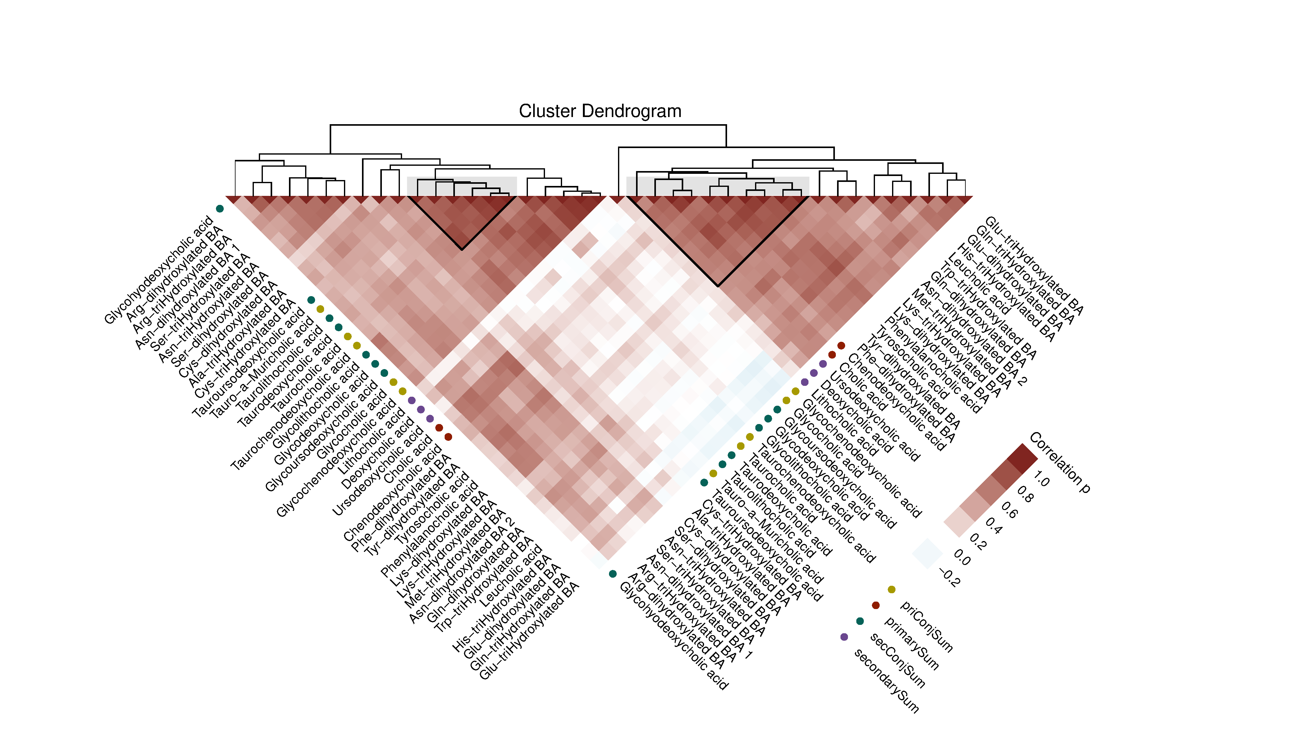 correlation heatmap hcluster