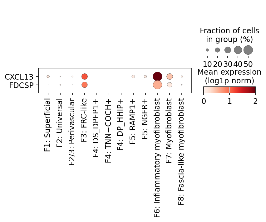 dotplot cxcl13 hs
