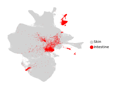 umapfig5b umap colouredbytissue