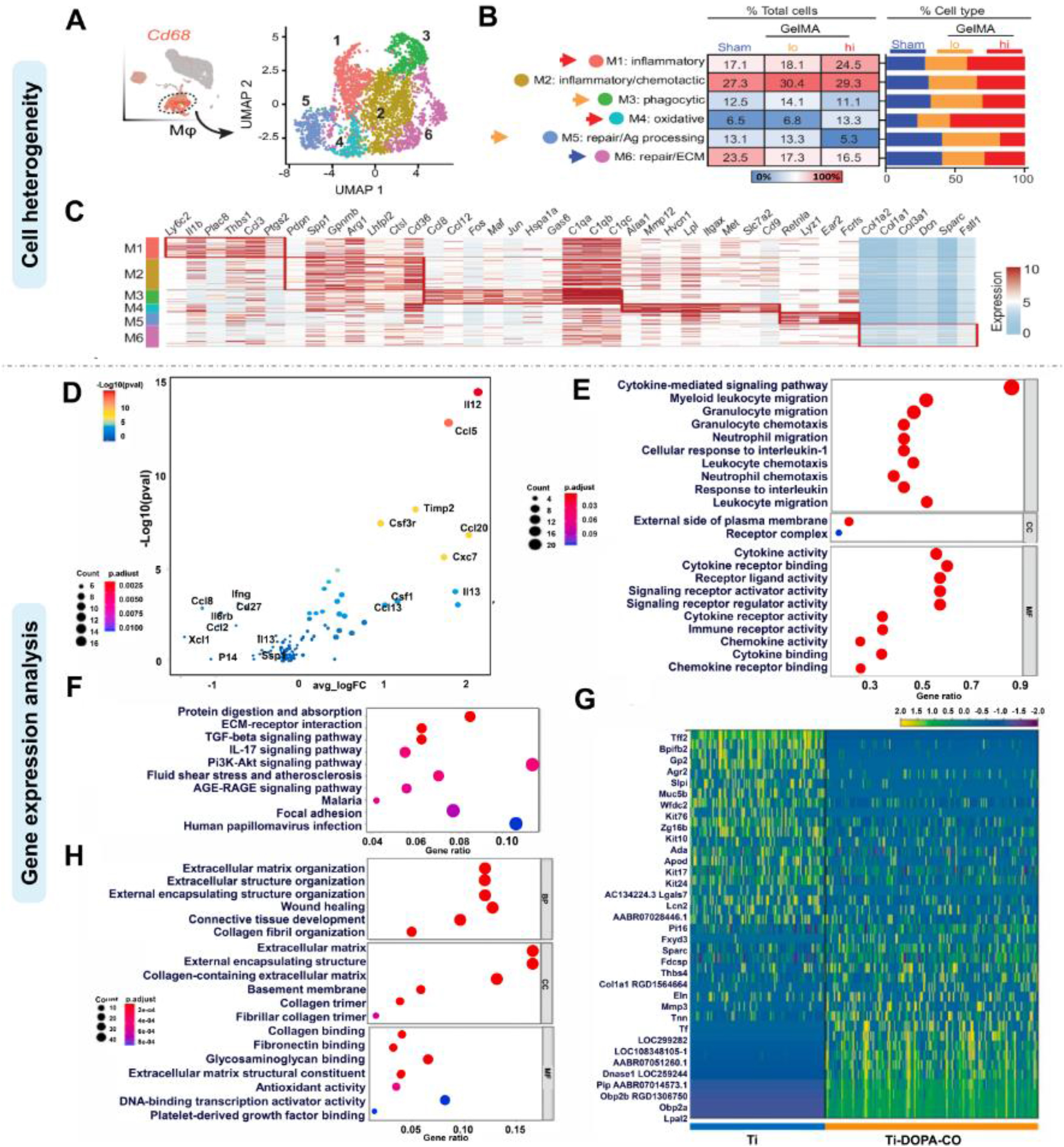 Figure 3 | cellular heterogeneity and DEG