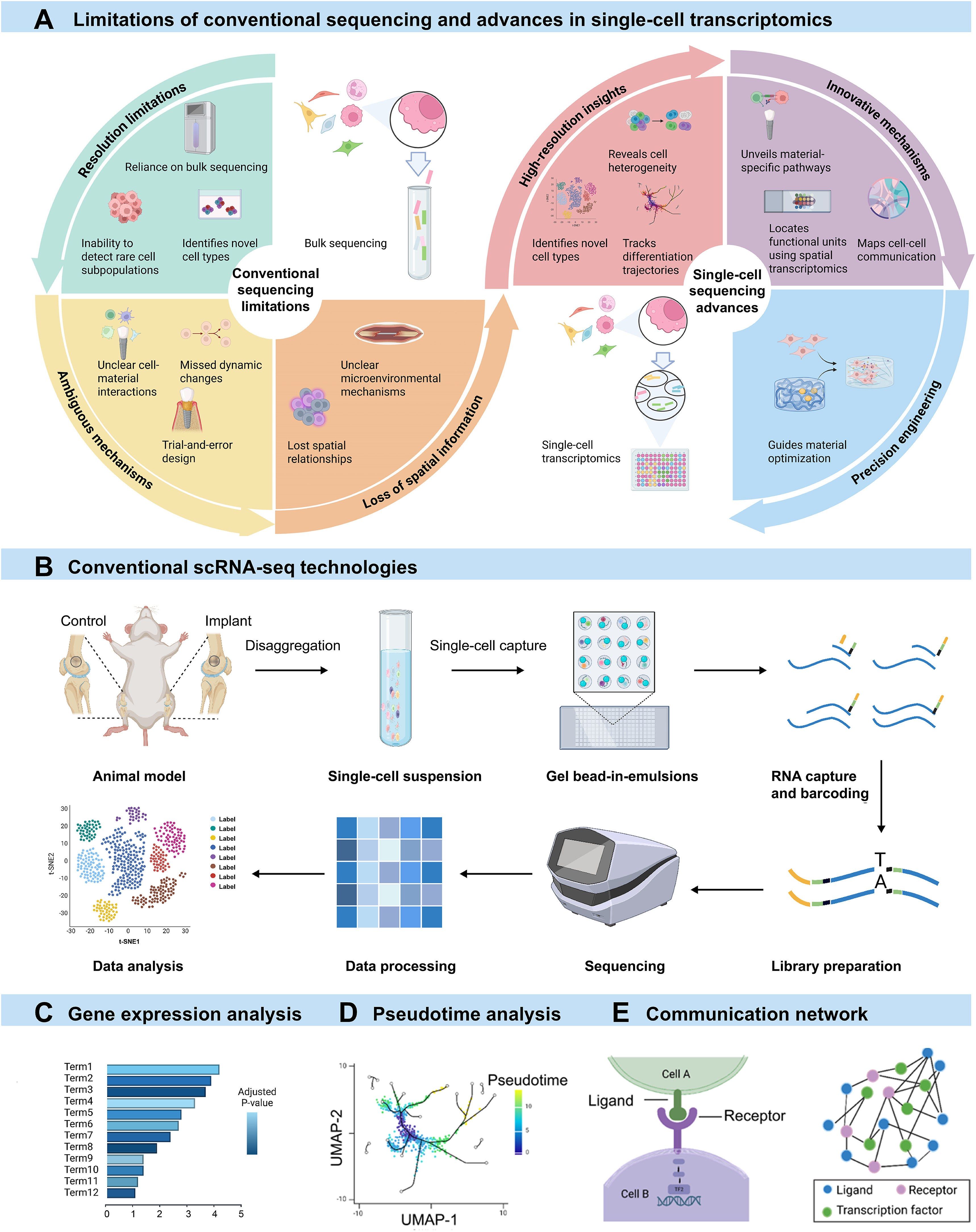Figure 2 | scRNA-seq workflow for biomaterials