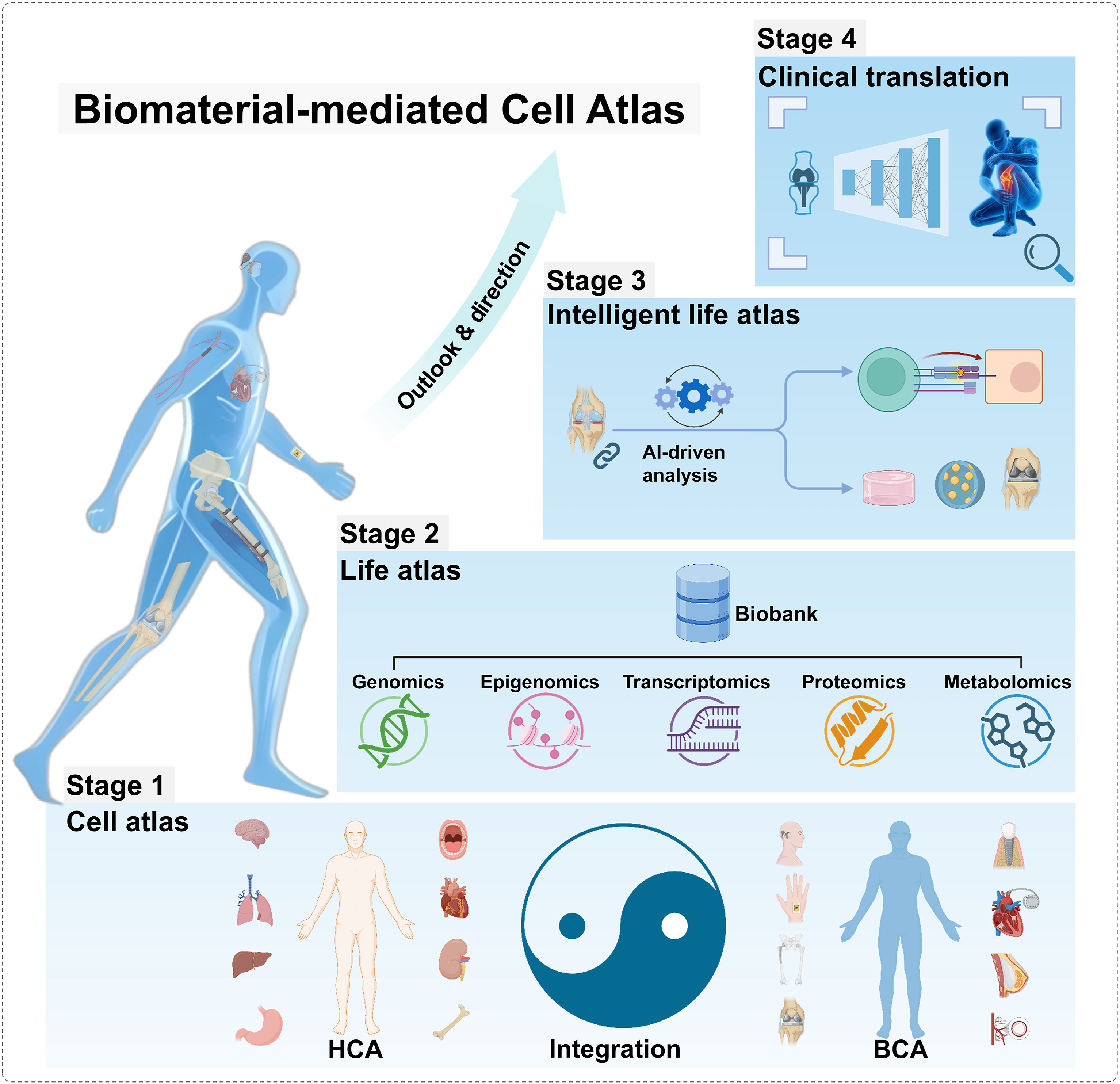 Figure 15 | BCA outlook