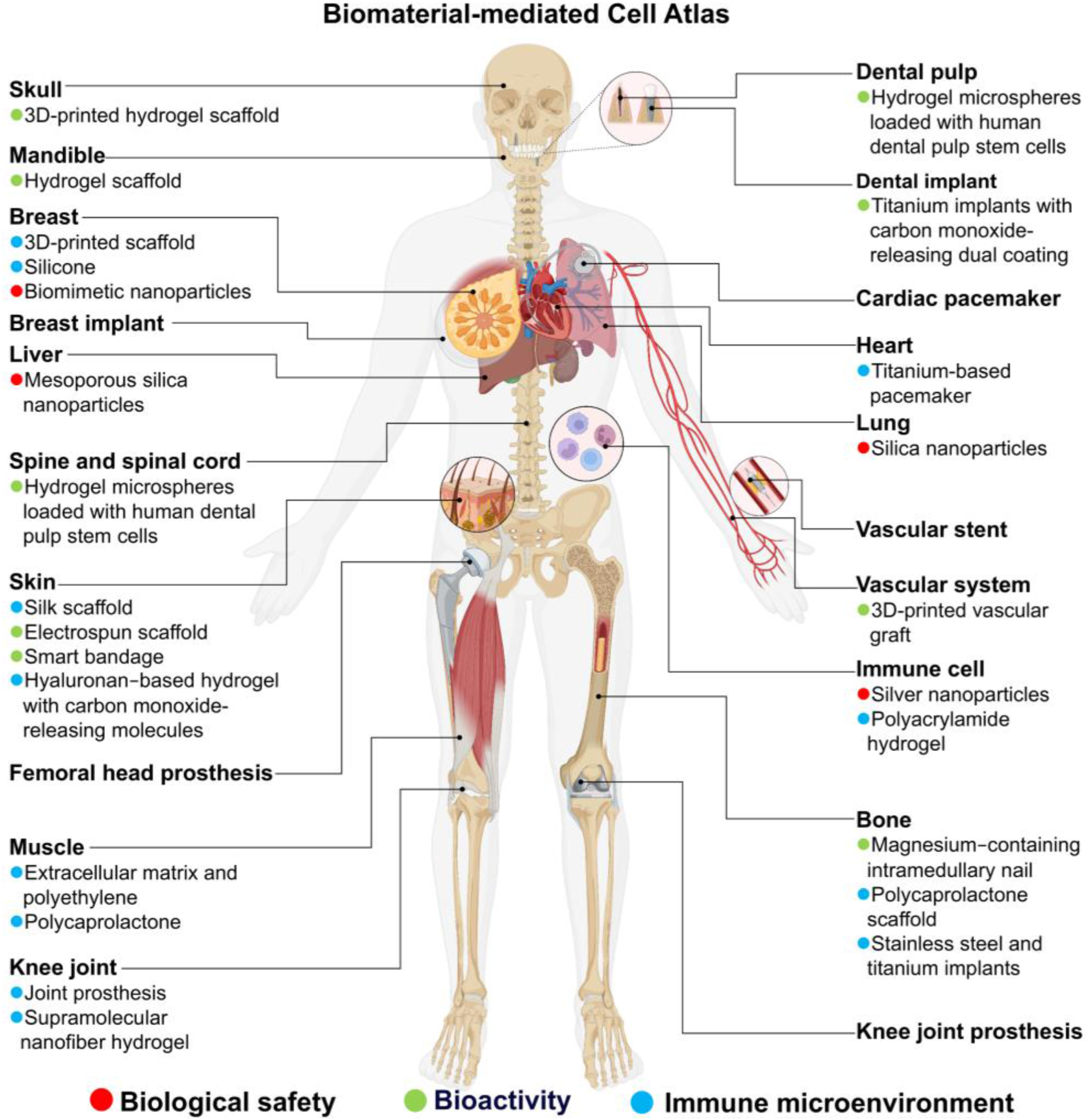 Figure 1 | BCA concept