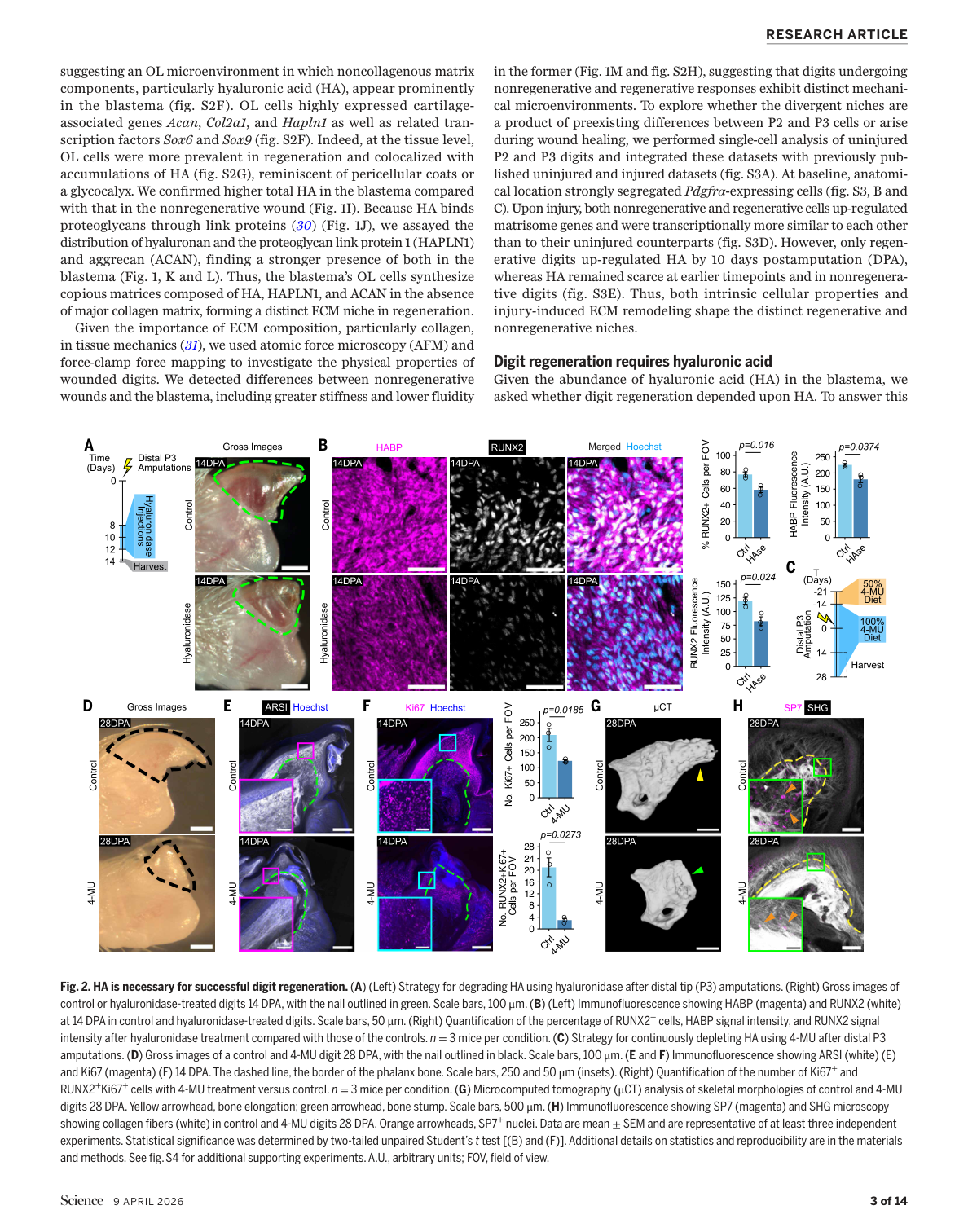 Figure 2.png