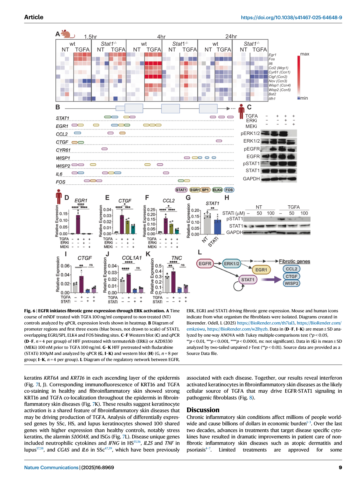 Figure 6.png